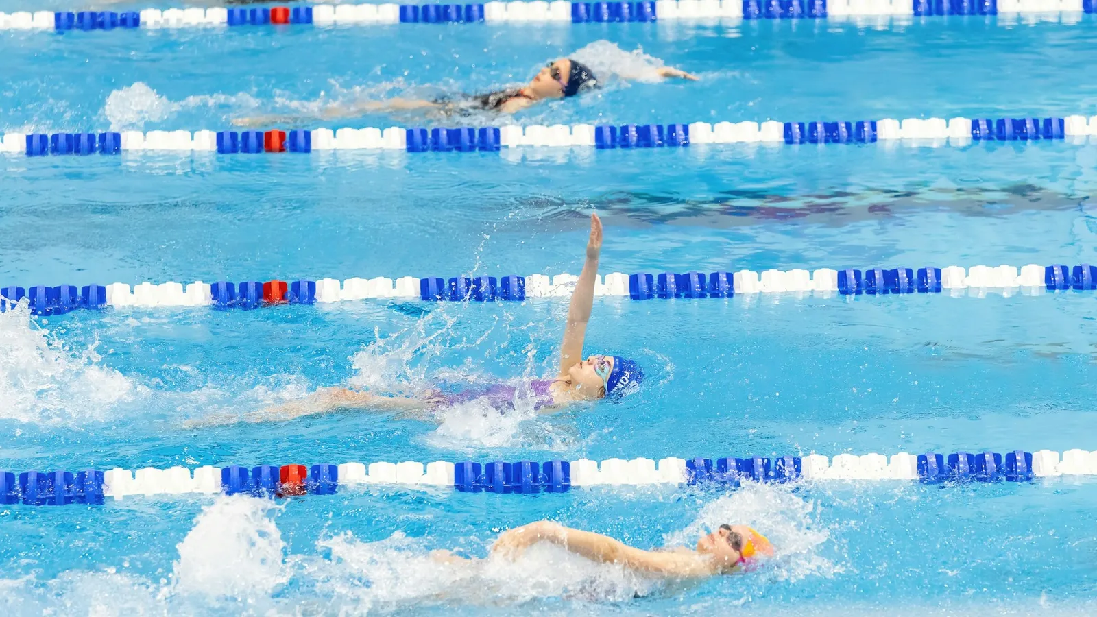 Pływacy na kilku torach basenu sportowego